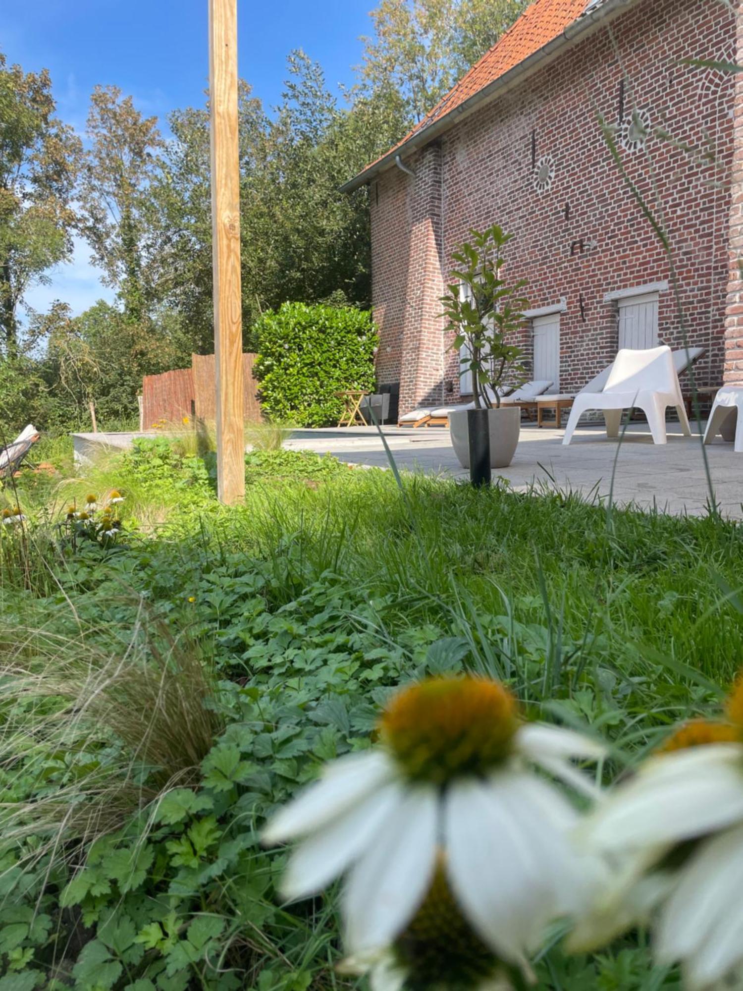 La Canopee Des Arbres, Anna Ellezelles Exterior foto
